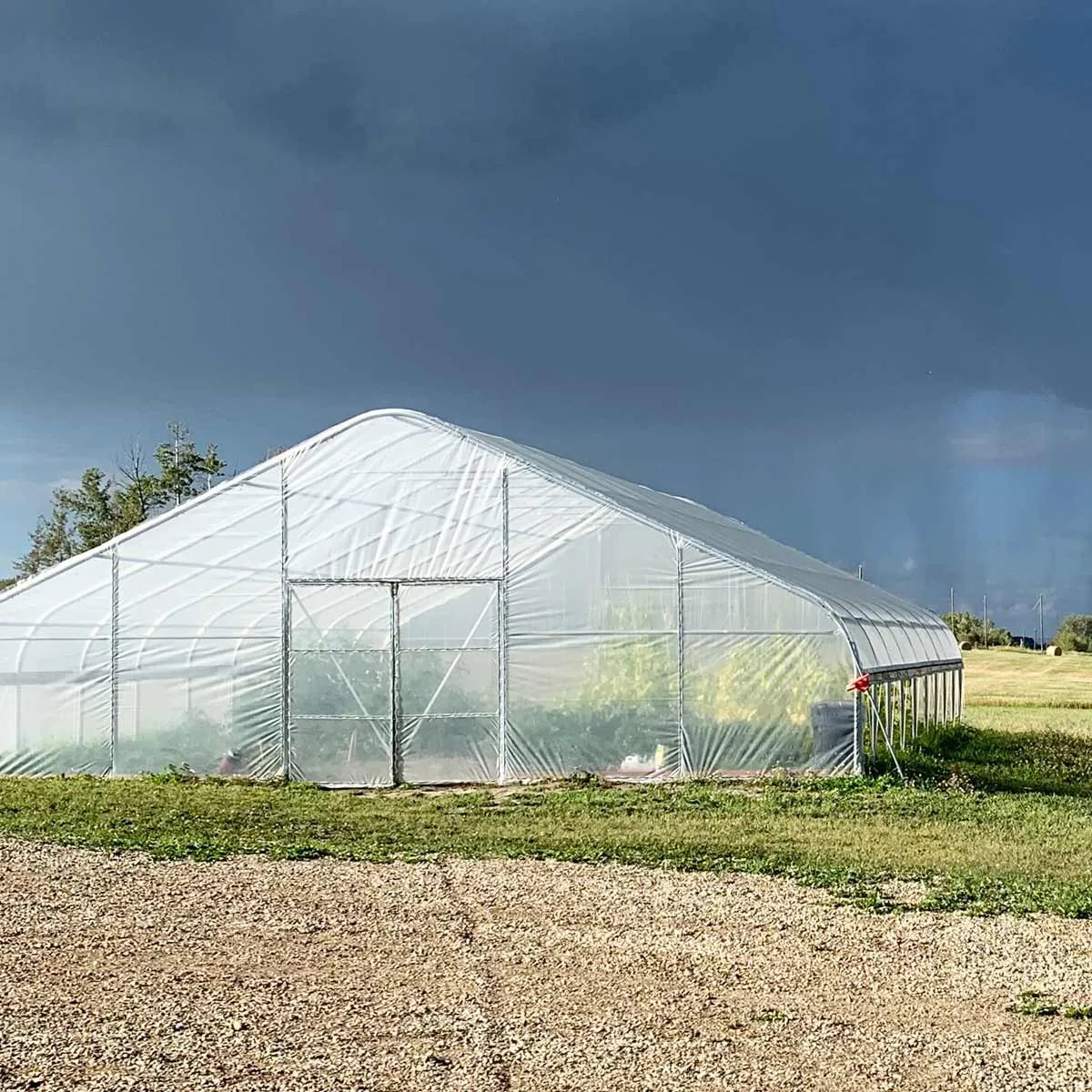 TMG Industrial 30’ x 40’ Tunnel Greenhouse Grow Tent w/6 Mil Clear EVA Plastic Film, Cold Frame, Hand Crank Roll-Up Sides, Peak Ceiling Roof, TMG-GH3040